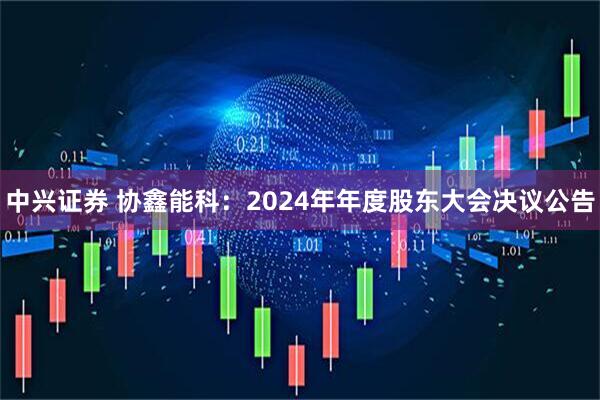 中兴证券 协鑫能科：2024年年度股东大会决议公告