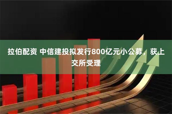 拉伯配资 中信建投拟发行800亿元小公募，获上交所受理