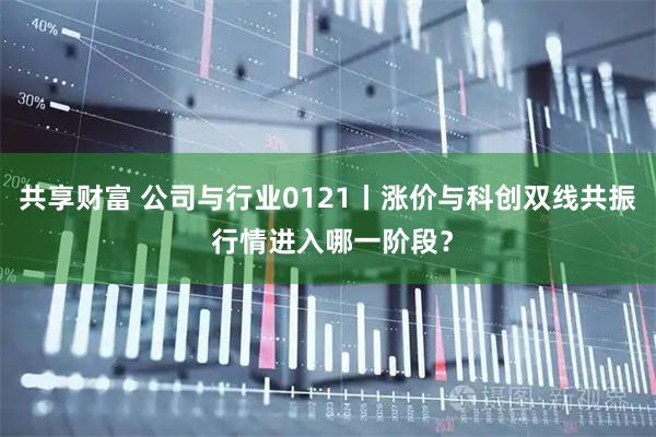 共享财富 公司与行业0121丨涨价与科创双线共振 行情进入哪一阶段？