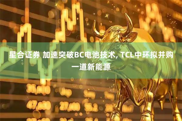 星合证券 加速突破BC电池技术, TCL中环拟并购一道新能源