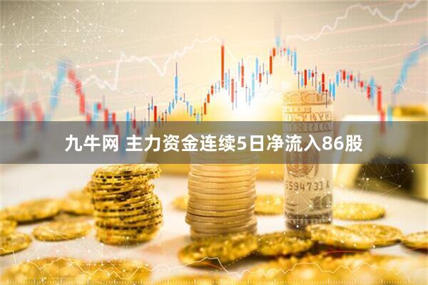 九牛网 主力资金连续5日净流入86股
