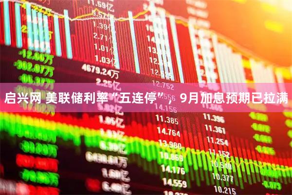 启兴网 美联储利率“五连停”，9月加息预期已拉满